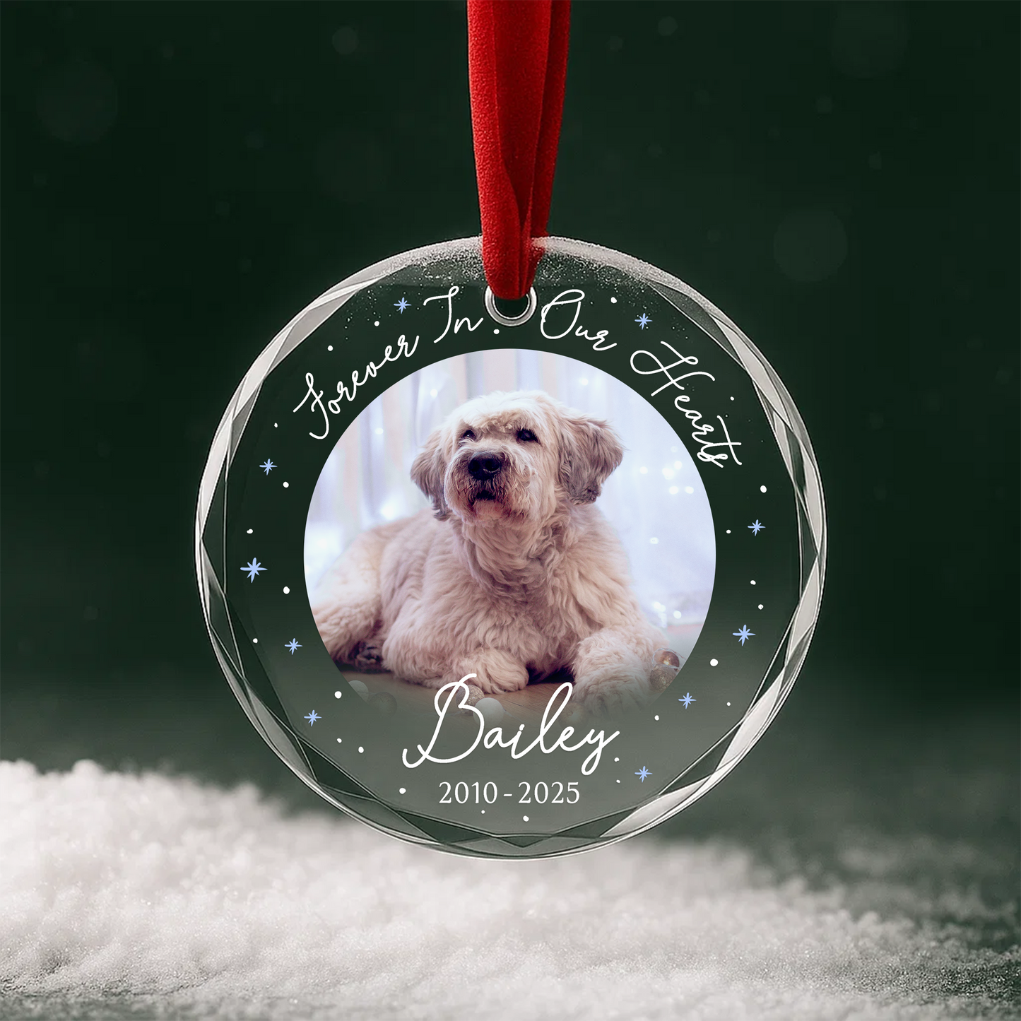 Forever In Our Heart Pet Memorial Ornament
