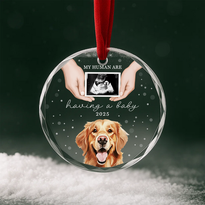 My Humans Are Having a Baby Ornament, Pet Pregnancy Announcement