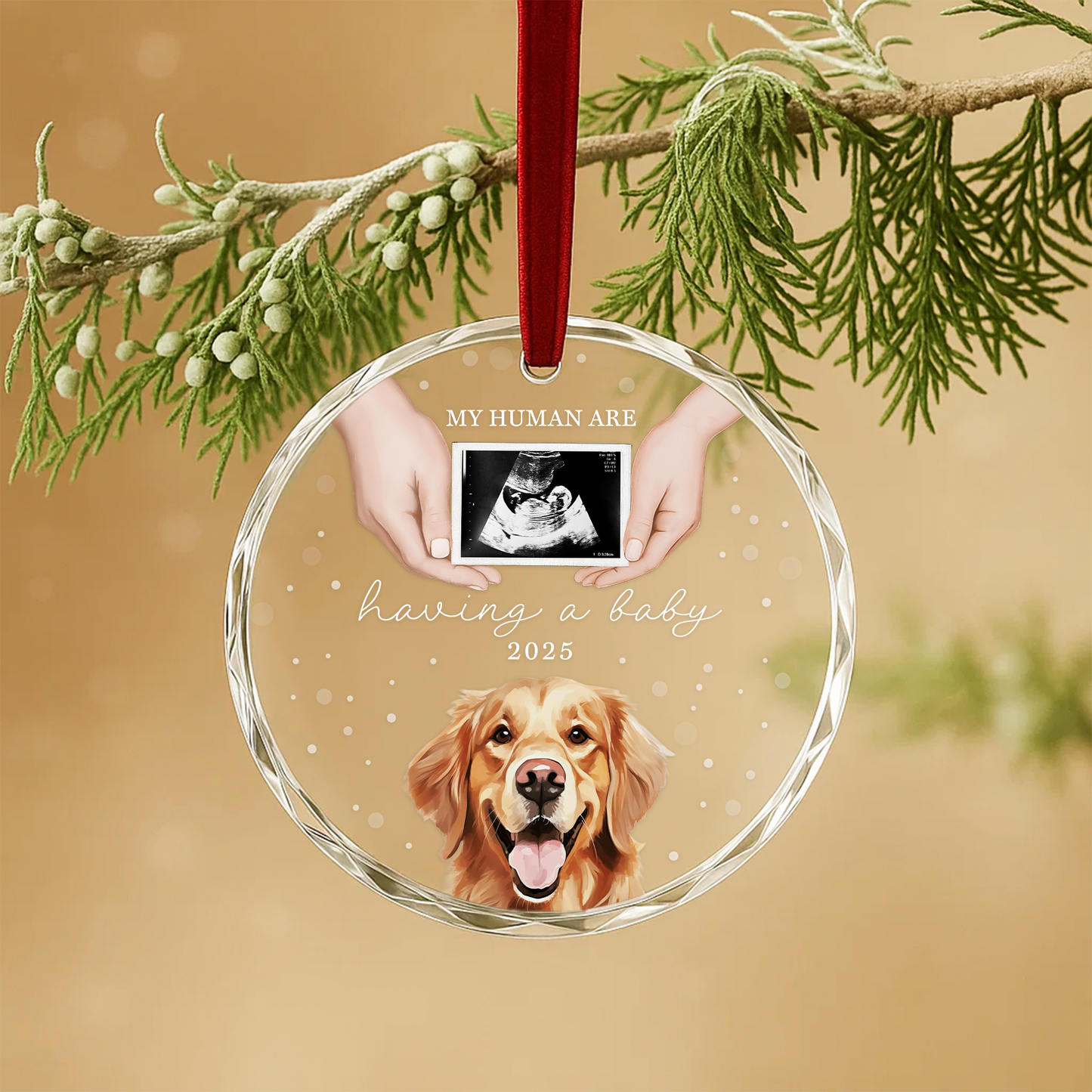 My Humans Are Having a Baby Ornament, Pet Pregnancy Announcement