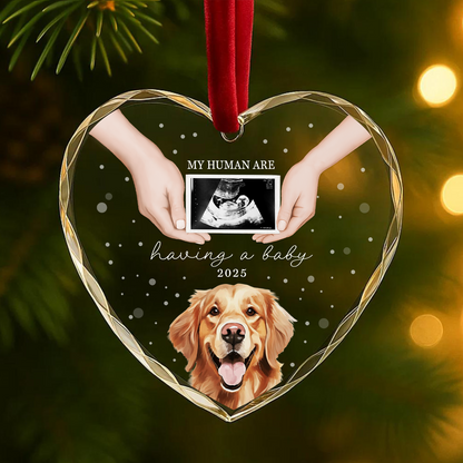 My Humans Are Having a Baby Ornament, Pet Pregnancy Announcement